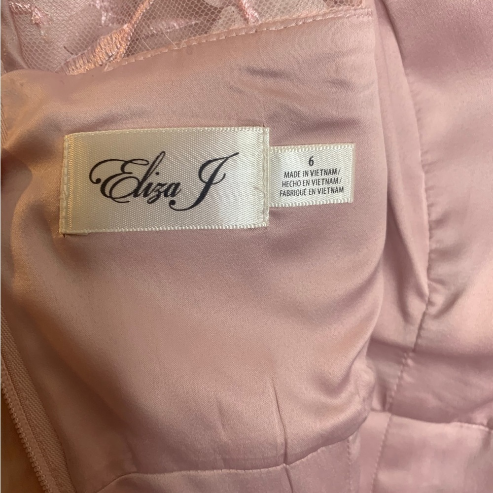 NWT Eliza J Blush Pink 3D Embroidered Applique Flowers Dress Size 6 - Picture 9 of 11